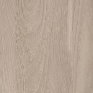 Yosemite S010 tss cleaf